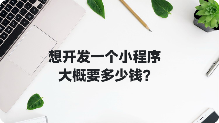 开发一个小程序大概要多少钱
